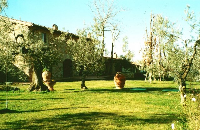 Vista del giardino